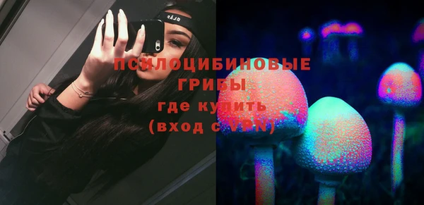 бошки Пересвет